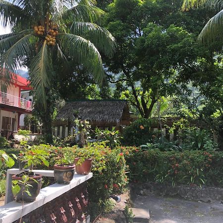Amami Garden Hostel Puerto Galera Buitenkant foto